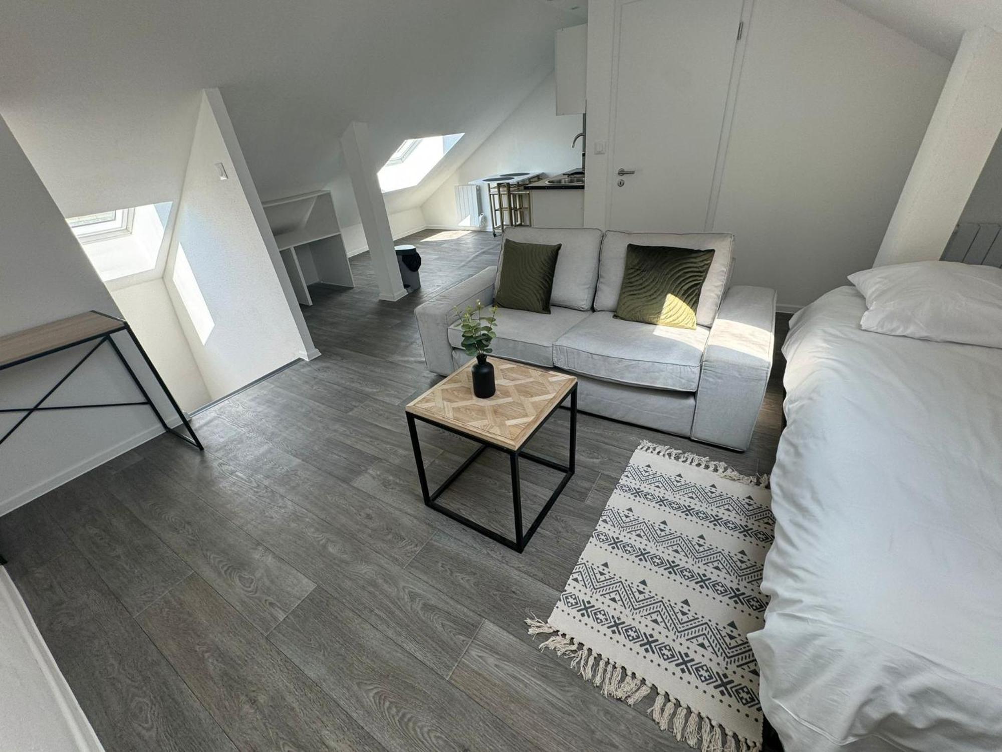 Studio Eucalyptus Charmant Elegant Et Fonctionnel Centre Ville 뮐루즈 외부 사진