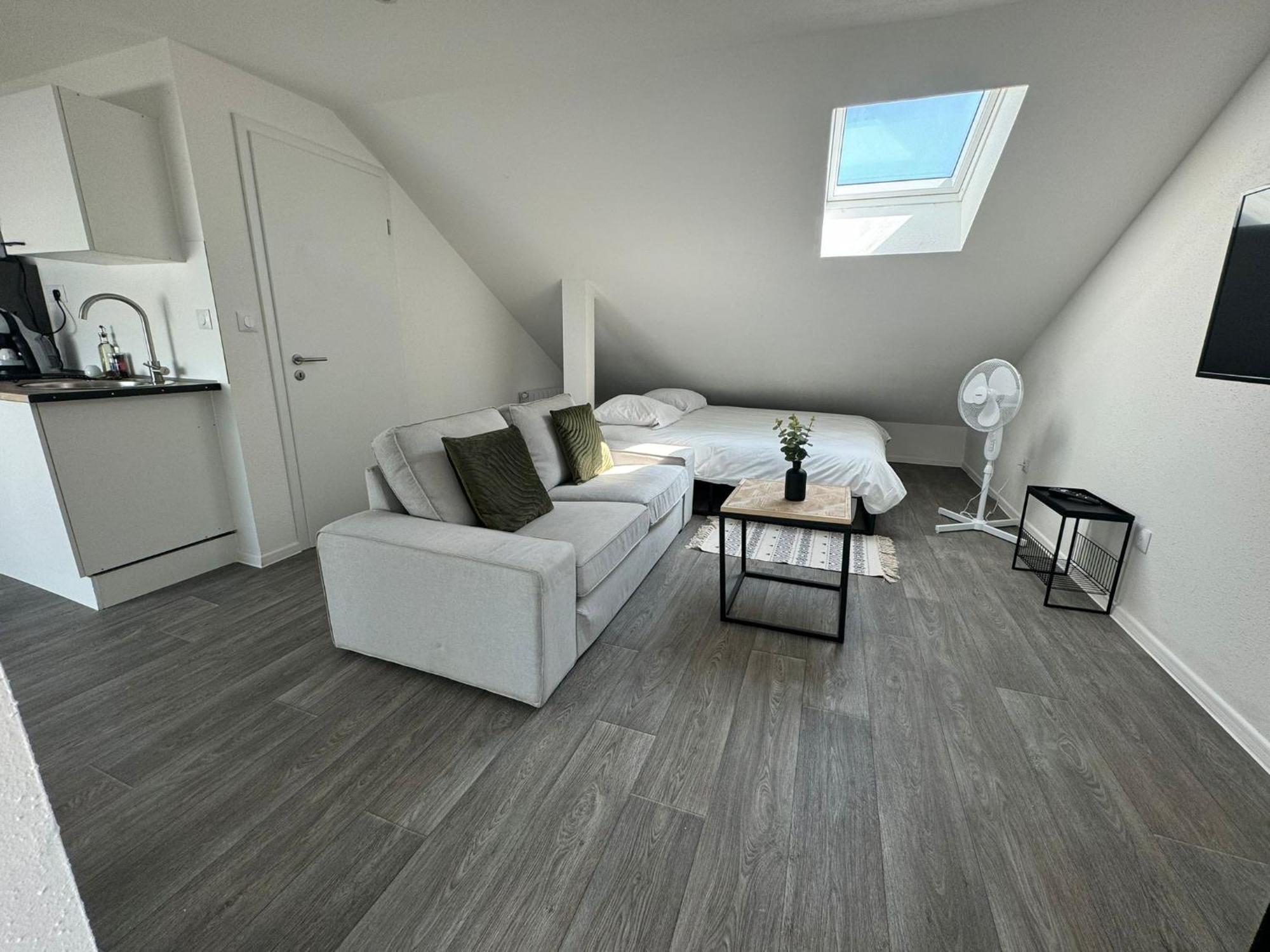 Studio Eucalyptus Charmant Elegant Et Fonctionnel Centre Ville 뮐루즈 외부 사진